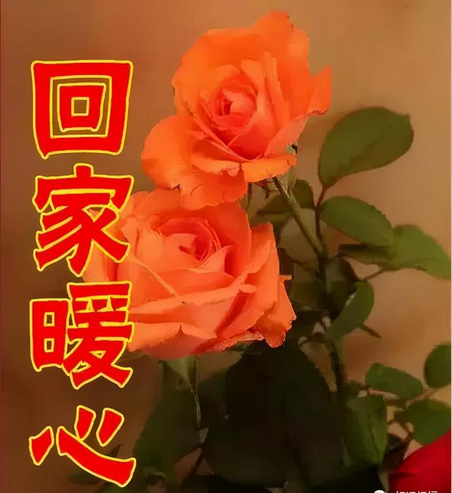 女神节｜最美的祝福送给你，全天下的女神们，祝你们节日快乐