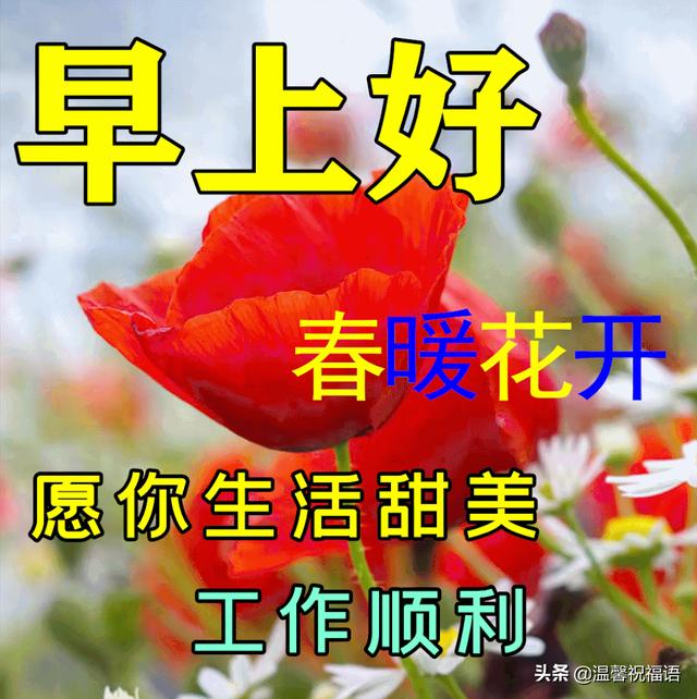 3月16日最新版最漂亮早上好的祝福表情图，早晨好美图大全