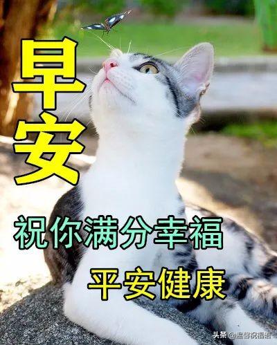 3月16日最新版最漂亮早上好的祝福表情图，早晨好美图大全