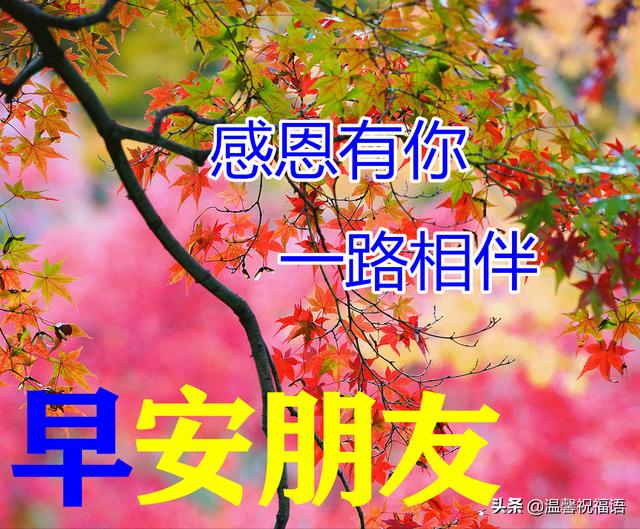 3月16日最新版最漂亮早上好的祝福表情图，早晨好美图大全