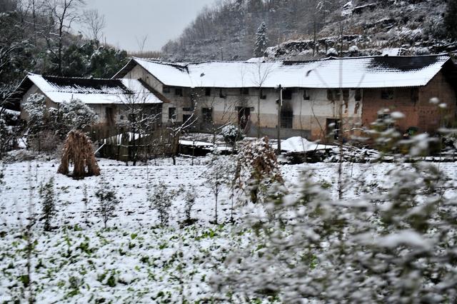 农村俗语“冬前雪难见，单衣也过年”，今年春节冷不冷？答案来了