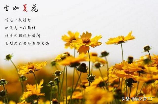 泰戈尔《飞鸟集》精简美句34句，美到让人心醉