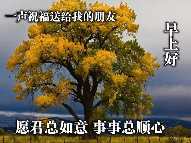 问候是一种甜蜜的牵挂。想念是一份温馨的心情，早安