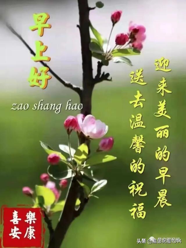 3月29日周二早安祝福语，愿你晨起有幸福，梦里有微笑。朋友,早安