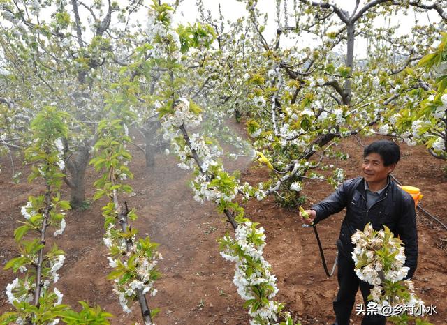 清明时节雨纷纷，老祖宗留下的4句“农谚”，句句都饱含智慧