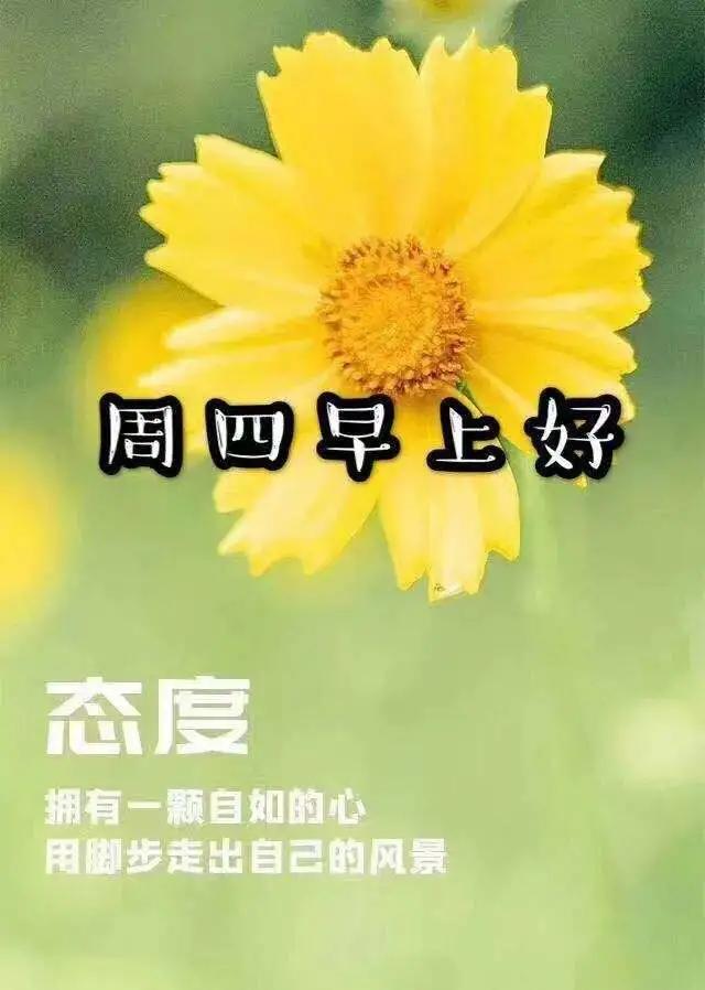 早安吉祥：花开无语，芳华烁烁；花落无言，余香阵阵，早安