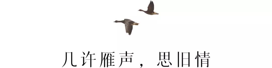 古人说伤春悲秋，为什么我们总在秋天叹息？