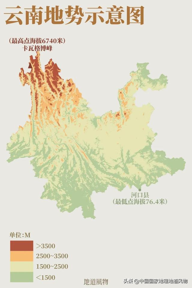 玫瑰、兰花、康乃馨，牡丹、杜鹃、山茶花，云南的花到底有多美？