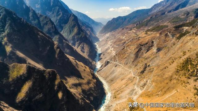 玫瑰、兰花、康乃馨，牡丹、杜鹃、山茶花，云南的花到底有多美？