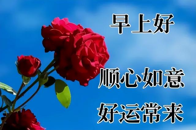 早安祝福问候带字图，正能量早上好阳光语录大全