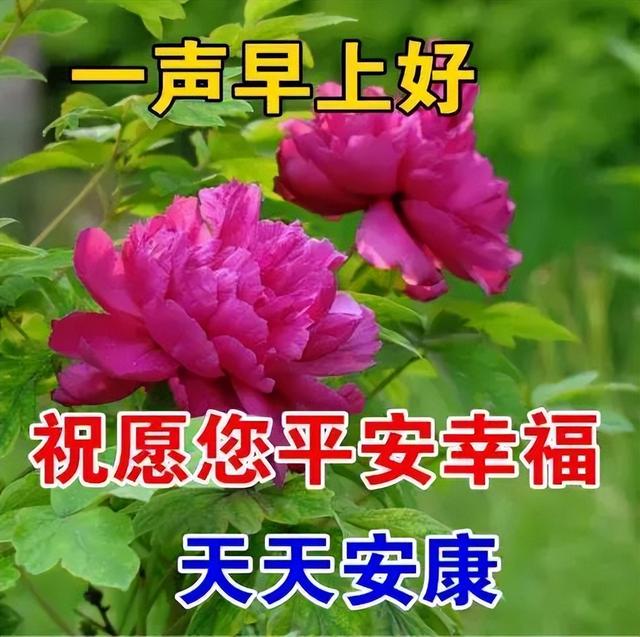 早安祝福问候带字图，正能量早上好阳光语录大全