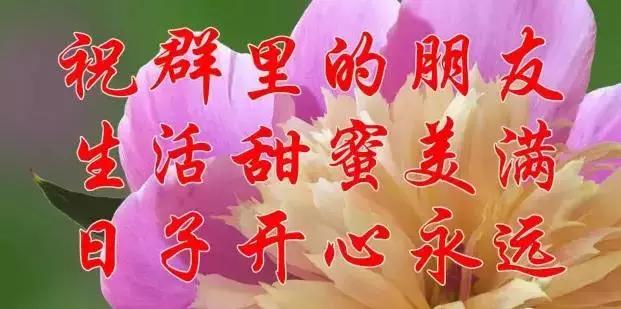 早上好，送你最美花朵朵，愿你好运来！一定要打开看看！