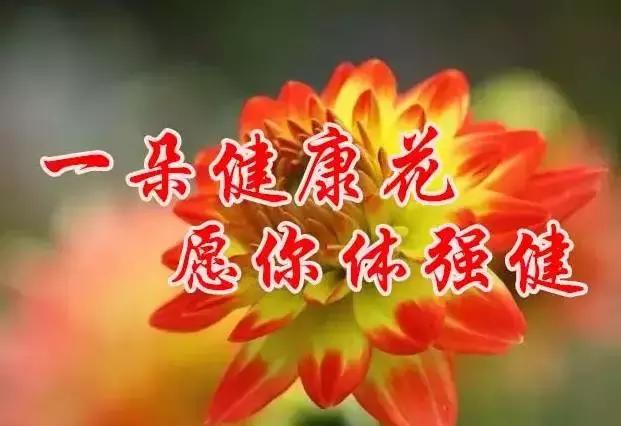 早上好，送你最美花朵朵，愿你好运来！一定要打开看看！