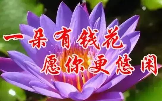 早上好，送你最美花朵朵，愿你好运来！一定要打开看看！