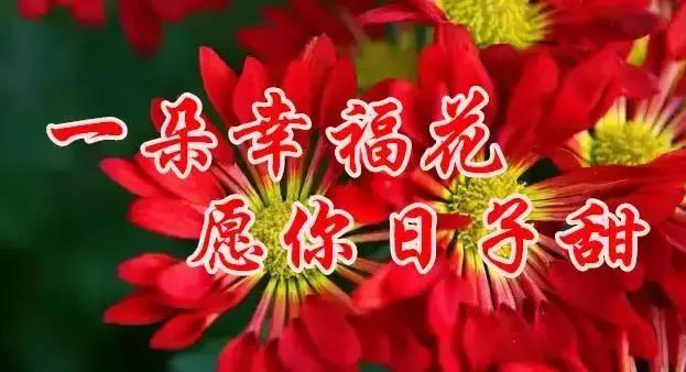 早上好，送你最美花朵朵，愿你好运来！一定要打开看看！