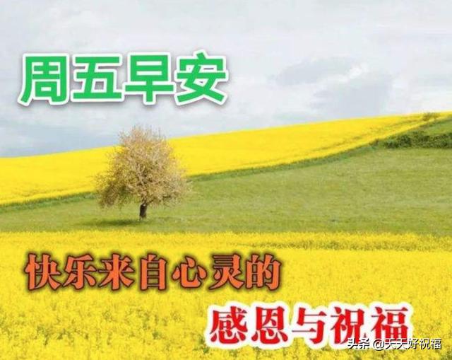 清晨唯美早安问候语温馨句子大全，周五早晨好特漂亮祝福图片分享