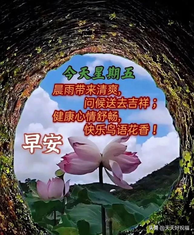 清晨唯美早安问候语温馨句子大全，周五早晨好特漂亮祝福图片分享