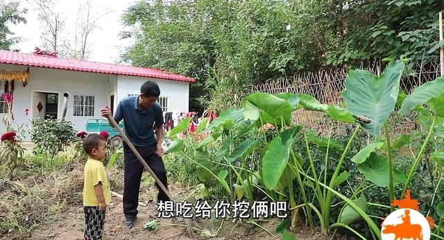 勤劳能干的农民代表，我向你致敬