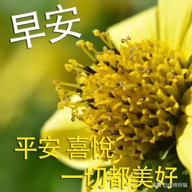 5.17，愿你任务步步高升！早上好！