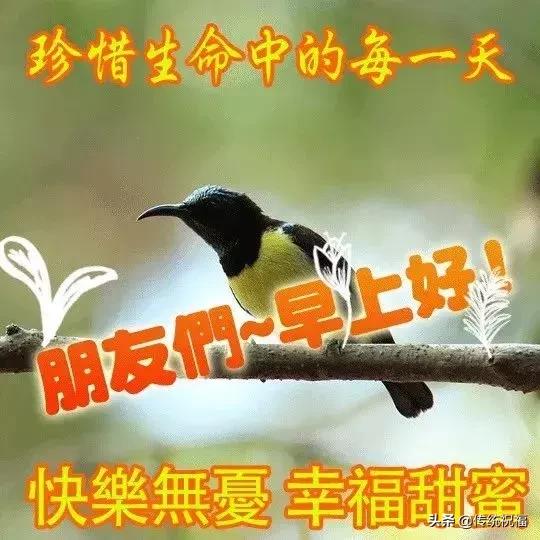 5.17，愿你任务步步高升！早上好！