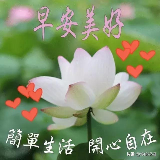 5.17，愿你任务步步高升！早上好！