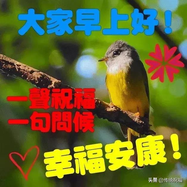 5.17，愿你任务步步高升！早上好！