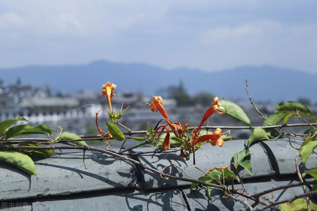 新年新气象，经典励志20句，送给努力的你