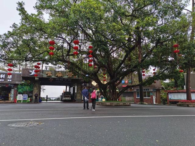 带父母游广州有感