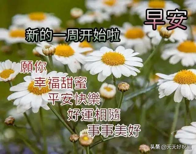 3月21日清晨最暖心的早安祝福短信 周一早上好漂亮的问候表情图片