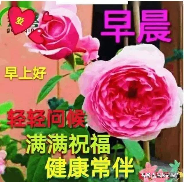 清早精辟简短的早安问候语大全，最美的早上好祝福表情图片