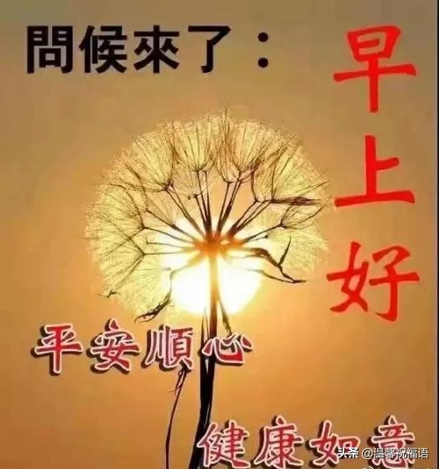 清早精辟简短的早安问候语大全，最美的早上好祝福表情图片