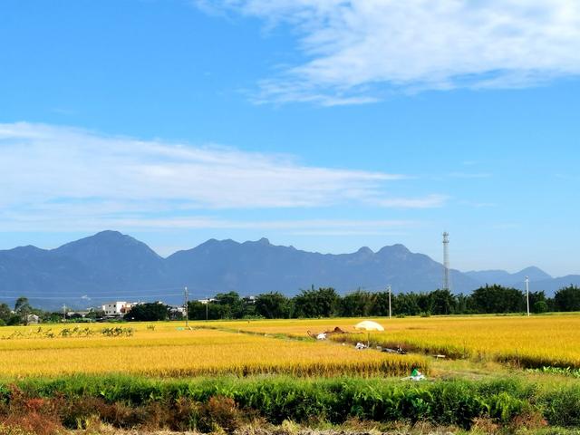 田野的自然风光，悠然的日常生活，才是最美好最珍贵的东西