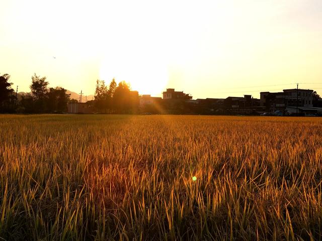 田野的自然风光，悠然的日常生活，才是最美好最珍贵的东西