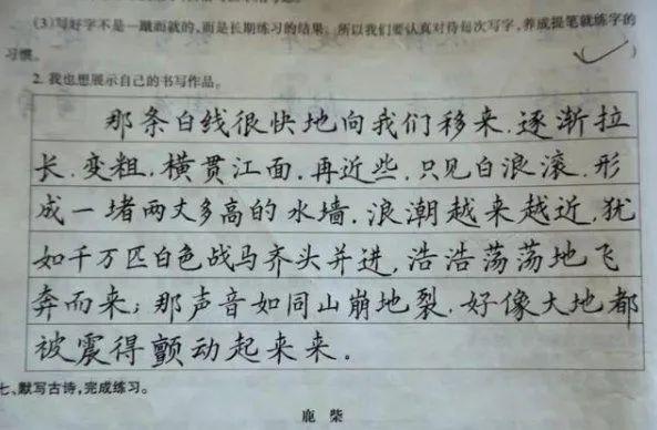 乡村女教师“批改学生作业”走红，字迹如印刷体，获家长一致好评