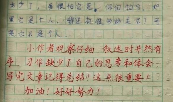 乡村女教师“批改学生作业”走红，字迹如印刷体，获家长一致好评