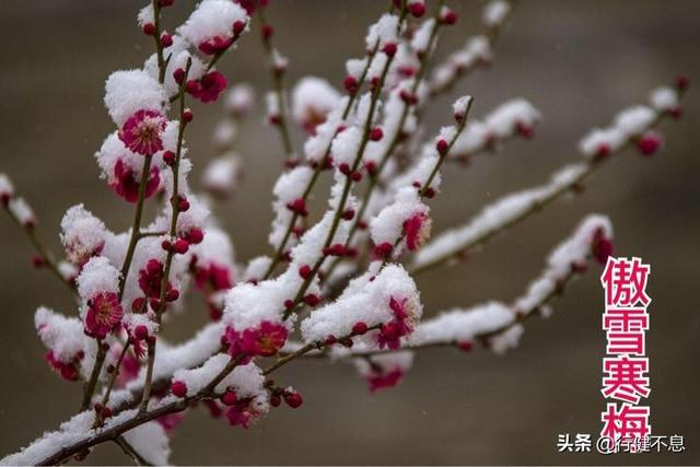 问渠那得清如许：十二首经典的哲理诗，教会我们正确地为人处世