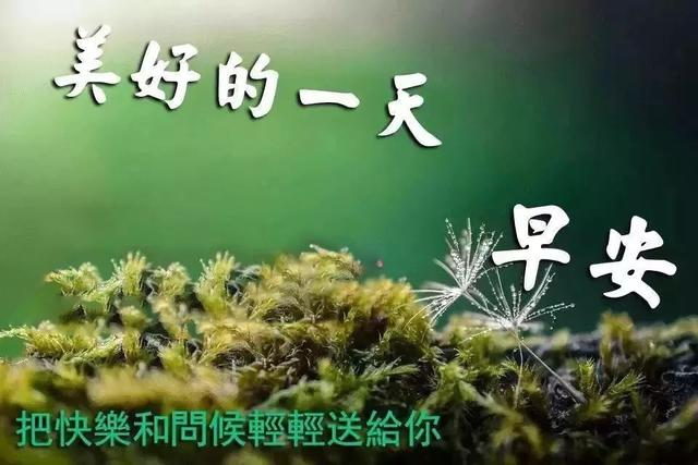 一句话语问候一声早上好，祝你心情愉快，幸福到老