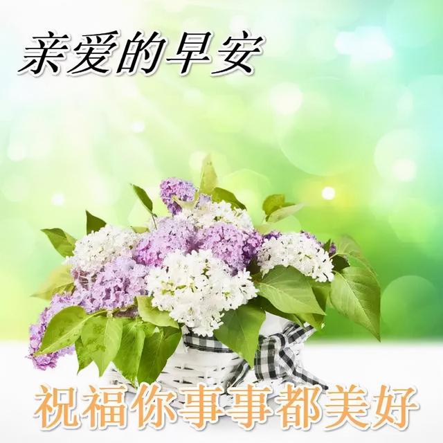 一句话语问候一声早上好，祝你心情愉快，幸福到老