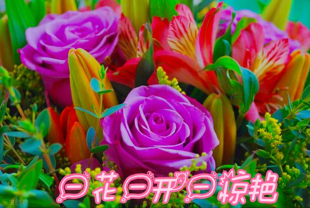 一花一深爱，万紫千红花争艳，春花烂漫时光好，花香世界人人爱