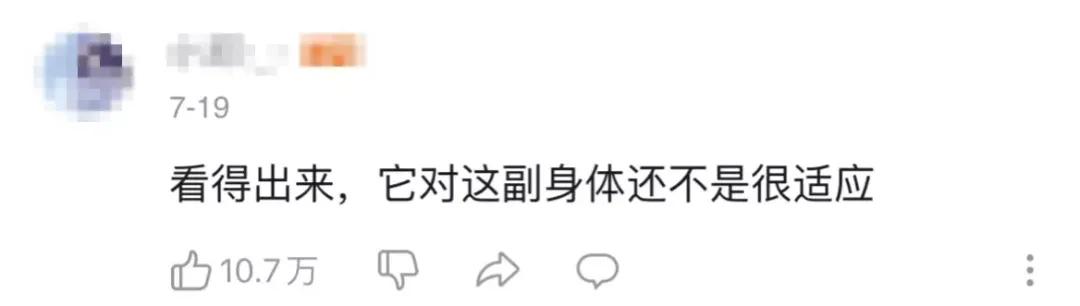 2021年十大网红：被膜拜，被群嘲，被封杀，都怪他们太“奇葩”