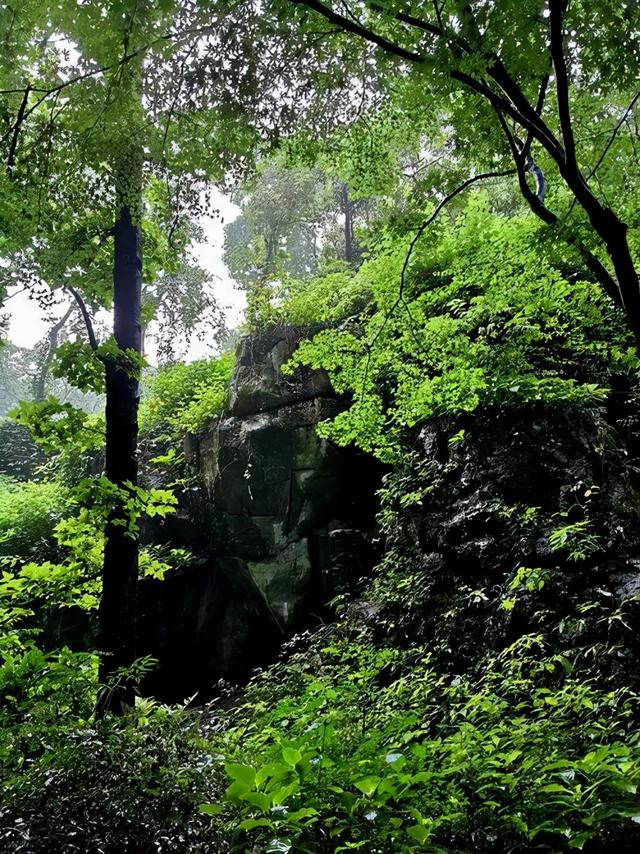 跟着名家学写景，篇篇是范文