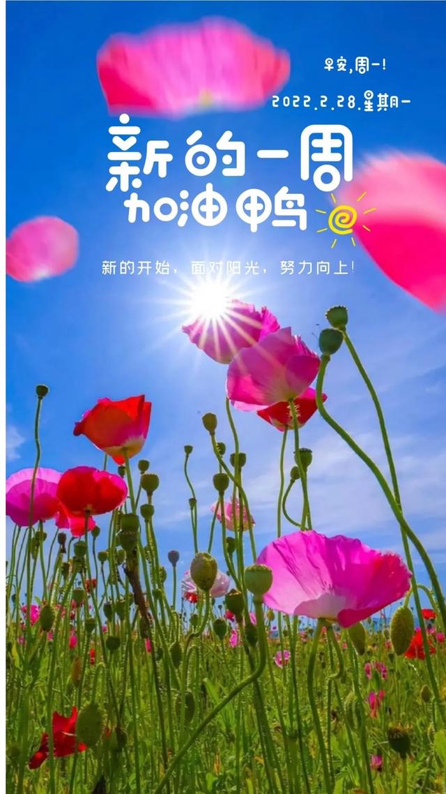 「2022.02.28」早安心语，正能量霸气语录名言，二月再见三月你好