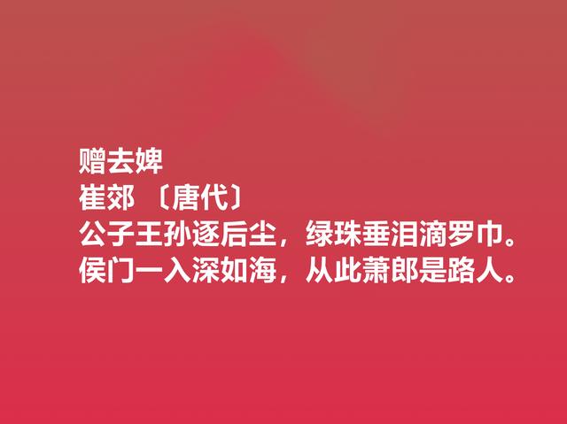 情人节读爱情诗！细品十首关于爱情的诗，祝愿自己拥有美好的爱情