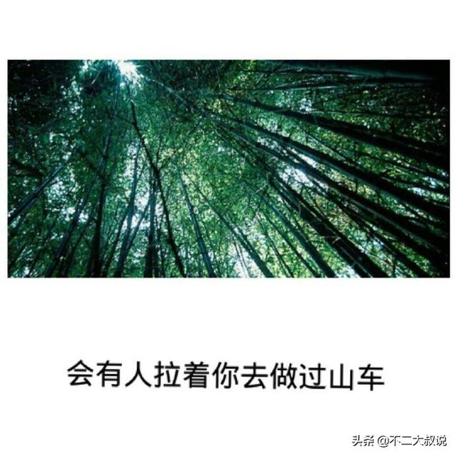 整理了一些适合摘抄的句子，句句都耐人寻味，建议收藏