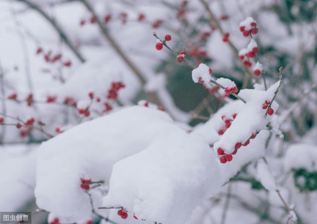 下雪天发朋友圈的暖心句子，哪一句温暖了你的心窝？