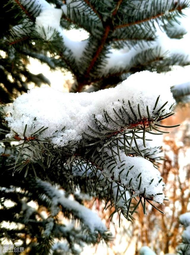 下雪天发朋友圈的暖心句子，哪一句温暖了你的心窝？