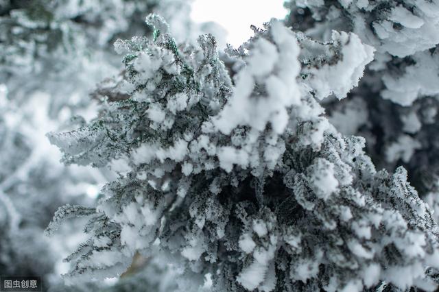 下雪天发朋友圈的暖心句子，哪一句温暖了你的心窝？