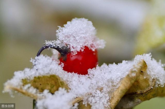 下雪天发朋友圈的暖心句子，哪一句温暖了你的心窝？