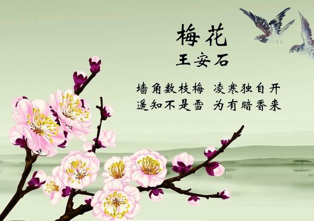 2019.最全的健康祝福句子！（良心推荐）