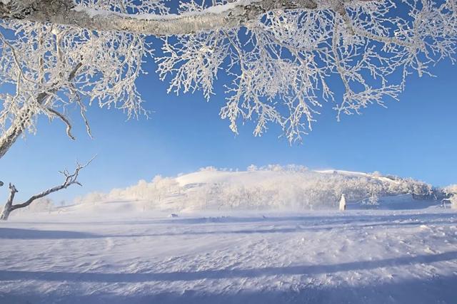 「诗词鉴赏」十首写雪的著名诗词，你最喜欢哪一首？